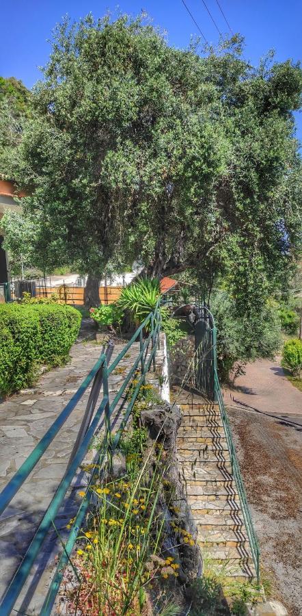 אגיוס יואניס פריסטרון Villa Fourtuna Apartment מראה חיצוני תמונה